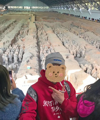 ���ѣ�����Ȥ���˽���