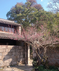 ��2023���μǡ�����ͷ���ײ����