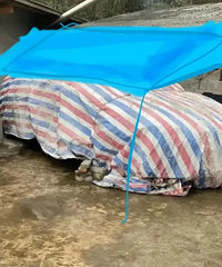 ���ˡ����¡���լ���³�����Ĥ�����һ���ǲ���Ī��ķ��̣�