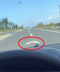 ����ʱ���粣�����һ���ߣ���˵�ڳ���ü��죬һ���������ܳ���