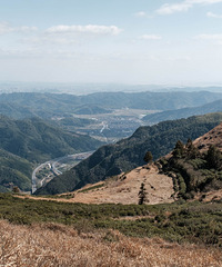 ɽĲݵ鿴ࡱģŲľٸĸо