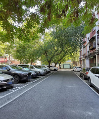 С��ͣ��λ���쳵��Ϊ������Щ���ѵ������ϰࣿ