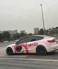 ���������ġ�ż�����ڳ���Ĳ�ݮ��