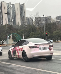 ���������ġ�ż�����ڳ���Ĳ�ݮ��