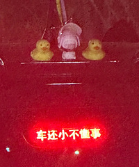 ���������ġ�˲��ûƢ��