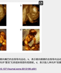 ���棡˫��̥����������ﾹ����������ģ��̲�ס����һ����һ��