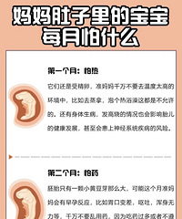 孕期妈妈肚子里的宝宝每月怕什么?