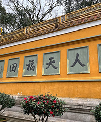 【2023旅游日记】普陀山朝拜小记