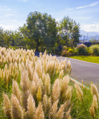 [����]�㽭ʮ�������̵������ڼ��ſڵ�����