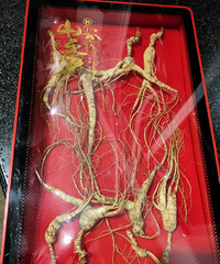 ������ҪѺ�����������ɶ�����