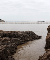 ���������̩������ɫ����