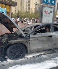 �綯����רҵ�޳�ʦ���ܽ�:��˹����ǿ,����Ǳ��ǵ�