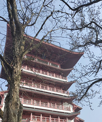 �����������ȥ��ɽ��һ�뿿����һ�뿿��