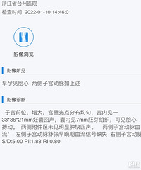 ��ǿ��������С���ӡ�2023�ҵ��������ӡ�