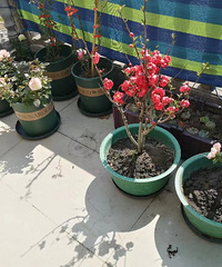 95���ٺ�GG������ƽ����ơ�չ�������ҵ��ϲ���������˵�