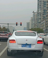 ���������ġ�ż������ŷ½���ܵİ׸������ҳ������Ķ���