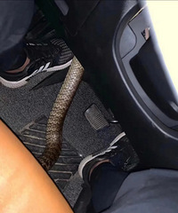 ����ʱ���������������ô���������ߵȣ�ͦ���ġ���