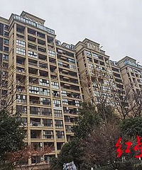 ��С���и��ھӷ��ӱ������ˣ�������������