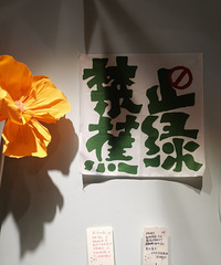 �������ʲô���˾�60���ܳԱ��������Ʒ�ܲ�����