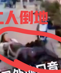 ����Ů��Ź�����˾�������������Ϻ��� �����ֵģ� �ٷ���Ӧ��