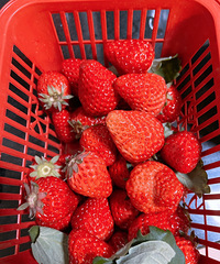 ���ֺ󶼳�Ϊ������������������