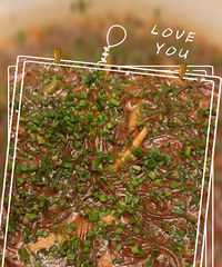 ��������ʳ�ֲˡ�̨���˶�ϣ����ȥ���ټ�����