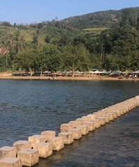 ϲ�������˶���86��С��㣬����165����·�ţ�������