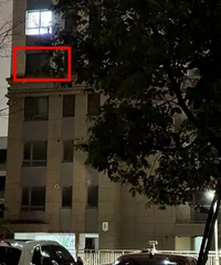 Ů����ɱ����ʬ������գ�ƭȡ����20��