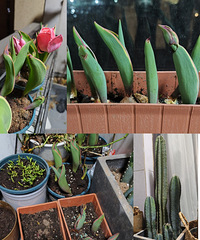 91��175��·��GG��������16W+���г��з�