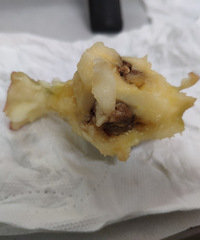 ����ѧѧƻ���ı��ʼ�����