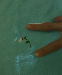 �У�29��/����/170+