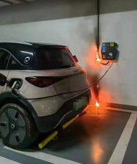 ����˽�˳��׮�����ǹ������׮�����ǵ��²����������