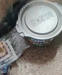 有些春游还是包饭的,你们给娃都带了什么当午餐
