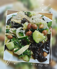 �������ʲô��һ�����ʷ��㣬��Ƭ����