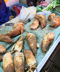 ���۸��᡿����������ʲô���ɣ�