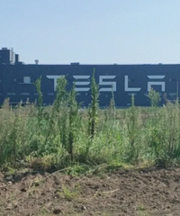 ˰ǰ����11-12����˹���������Ҵ����ĵ��컨����