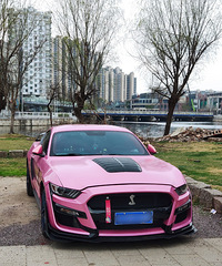 ���������ġ���ͷ�����ߵİűȷ�����