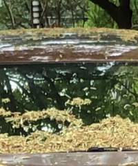 ͬ�����ϳٵ�10���ӣ������ǽ������϶໨�˼�����ϴ��