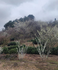 Ⱦ����Ұӣ���ȡ������ݽ�ͥ��̶��ӣ�������м�