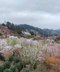 Ⱦ����Ұӣ���ȡ������ݽ�ͥ��̶��ӣ�������м�