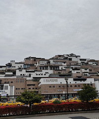 31�꽷���³�GG�������ӣ��з��г����ҽ������ӵ�