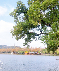 ����3000ȥ���ݣ���˵����Ҳ��������