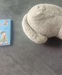 ��ɹ����С�ѡ��У�92��/����/170cm