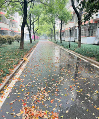 90�Ŀɰ��������Ķն�Ů�ӣ��������Ǹ����ʵ���