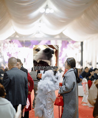 [����ռ�]����ƻ����ֳ�̫����