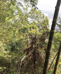 95���ٺ�178��С��磬��һλ�򵥹����ӵ�Ů����