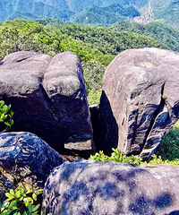 ��Ű��ֻΪ���������ز����������������š�С��ɽͽ��