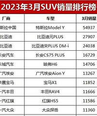 ������3��SUV������ModelY�ȵڶ����͵���������������