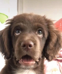 ���飡90��·��178��GG�����˼�С���������ô���/����