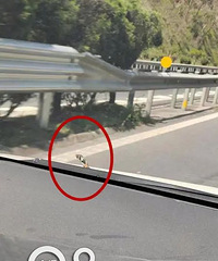 ���ˣ�����һŮ˾������;�о�Ȼ���ֳ��Ͼ���...